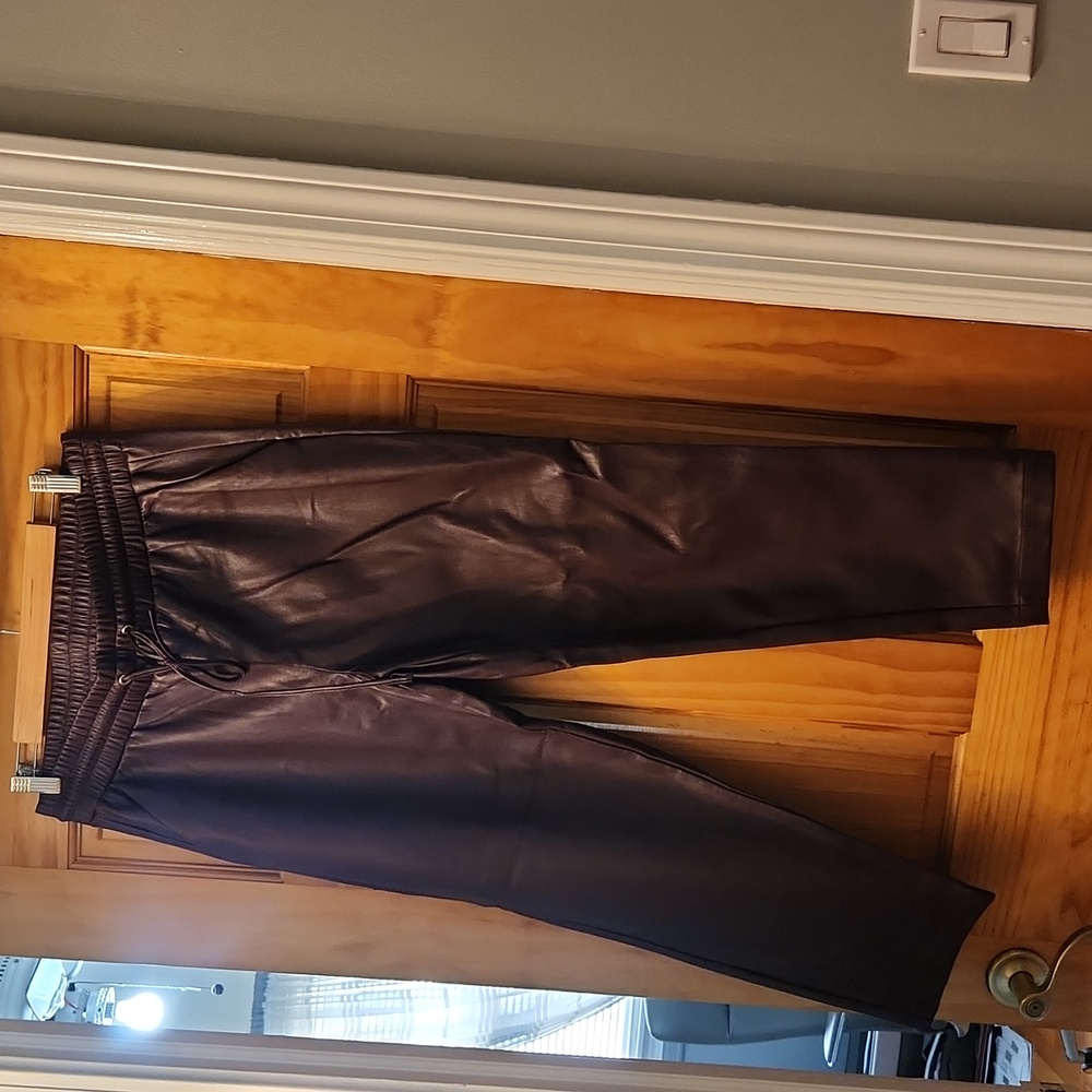 Loft Faux Leather Ankle pants